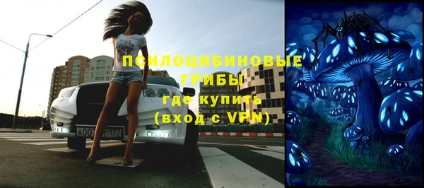 ПСИЛОЦИБИНОВЫЕ ГРИБЫ Абаза