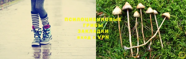 ПСИЛОЦИБИНОВЫЕ ГРИБЫ Абаза