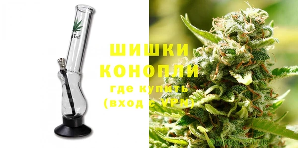 ПСИЛОЦИБИНОВЫЕ ГРИБЫ Абаза