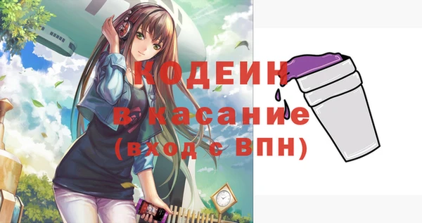 ПСИЛОЦИБИНОВЫЕ ГРИБЫ Абаза