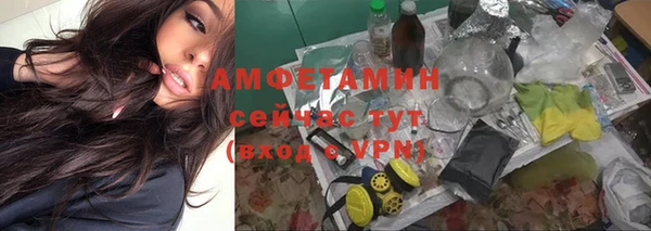 ПСИЛОЦИБИНОВЫЕ ГРИБЫ Абаза